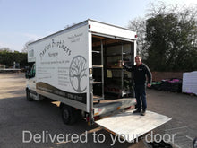 Load image into Gallery viewer, Super Premium Grade Cut Non drop Nordmann Fir