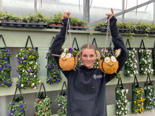 Load image into Gallery viewer, Bee hanging basket
