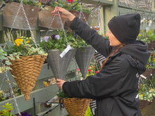 Load image into Gallery viewer, Winter Cone Hanging Baskets
