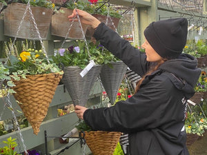 Winter Cone Hanging Baskets