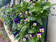Load image into Gallery viewer, Winter Hanging Flower Bags

