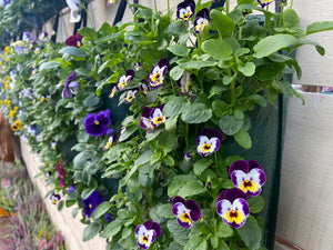 Winter Hanging Flower Bags