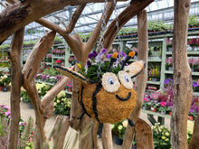 Load image into Gallery viewer, Bee hanging basket
