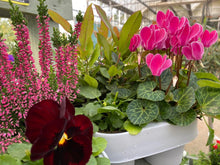 Load image into Gallery viewer, Winter DIY Tub and Basket Kits

