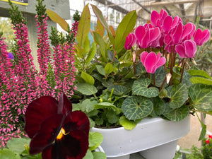 Winter DIY Tub and Basket Kits