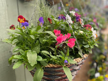Load image into Gallery viewer, Winter Cone Hanging Baskets
