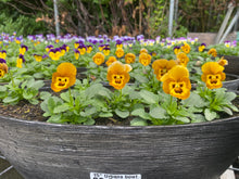 Load image into Gallery viewer, Urbana Oval Viola Bowls
