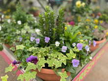 Load image into Gallery viewer, 14&quot; Self-Watering Winter Hanging Baskets
