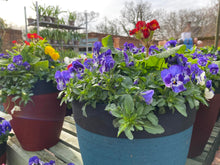 Load image into Gallery viewer, 14&quot; Gala Winter Tub
