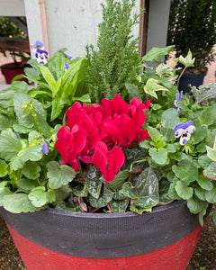 14" Gala Winter Tub
