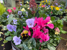 Load image into Gallery viewer, 12” Helix Winter Tub
