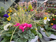 Winter DIY Tub and Basket Kits