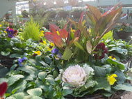 Winter wicker hanging baskets