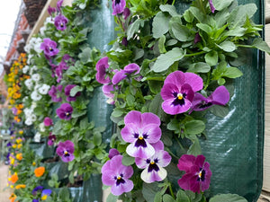 Winter Hanging Flower Bags