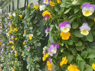 Winter Hanging Flower Bags