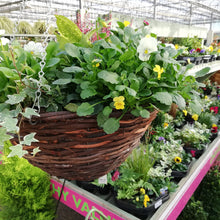 Load image into Gallery viewer, Winter wicker hanging baskets
