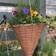 Load image into Gallery viewer, Winter Cone Hanging Baskets
