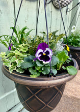 Load image into Gallery viewer, Tuscany 12&quot; Winter/Spring Hanging Baskets
