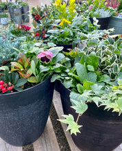 Load image into Gallery viewer, 12” Helix Winter Tub
