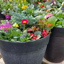 Load image into Gallery viewer, 12” Helix Winter Tub
