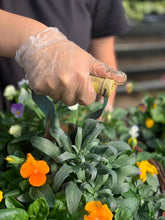 Load image into Gallery viewer, 14&quot; Self-Watering Winter Hanging Baskets
